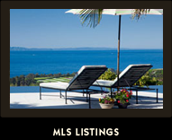 MLS Listing Search